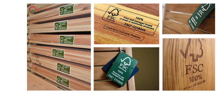 fsc-ho-chieu-xanh-cho-doanh-nghiep-vuon-ra-thi-truong-quoc-te-vua-la-dau-xanh-khang-dinh-su-phat-trien-ben-vung-65.html